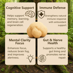 Vrixlanua Lion's Mane Powder packaging on display