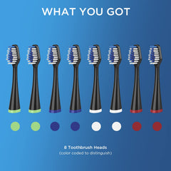 Eight brush heads in black-pack for family use