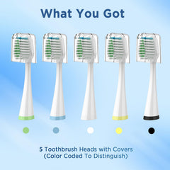 Compatibility diagram for Waterpik Complete Care 9.0 and 5.0 models