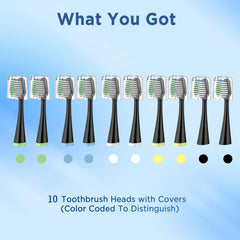 End-rounded bristles for gentle yet effective cleaning