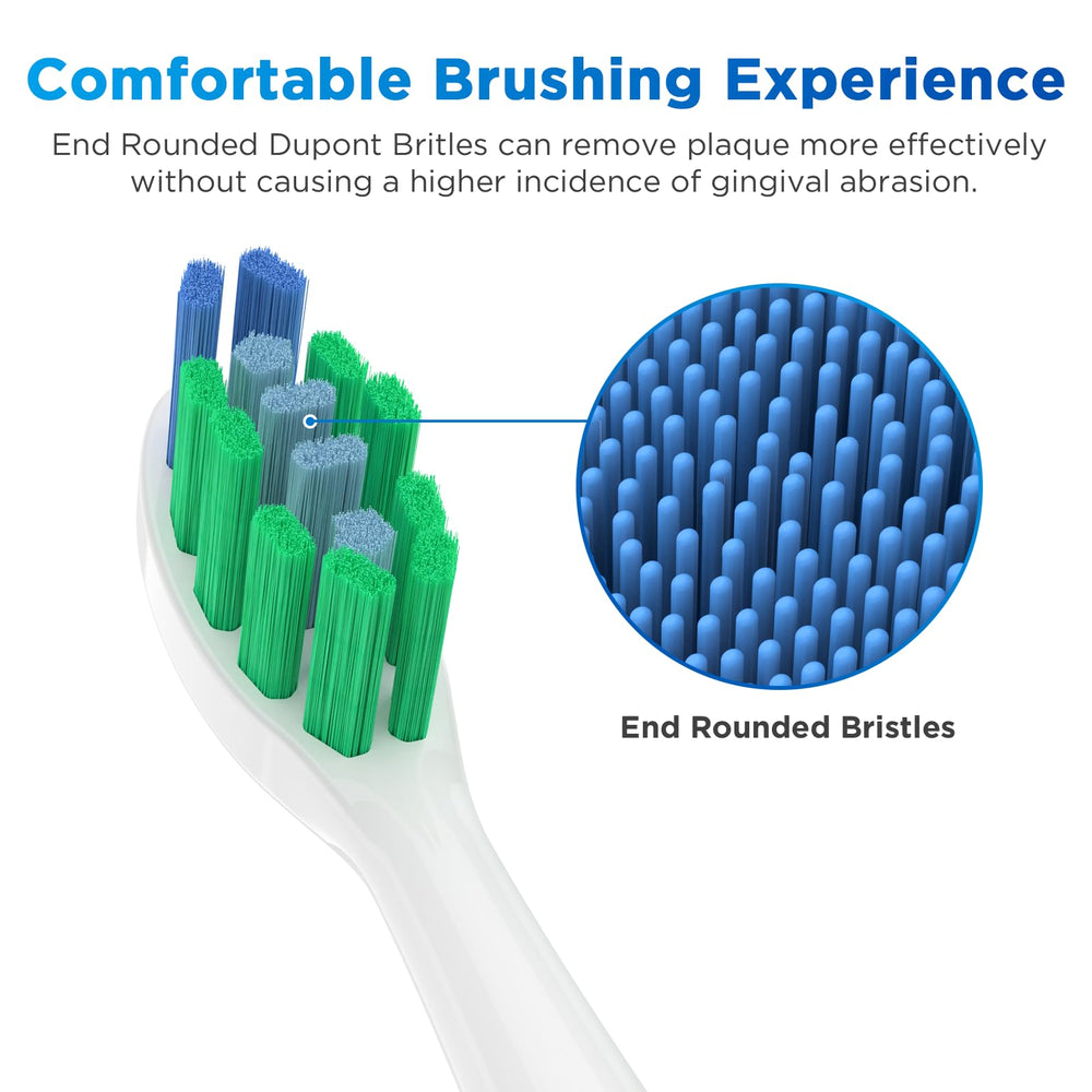 End-rounded Dupont bristles for comfortable brushing