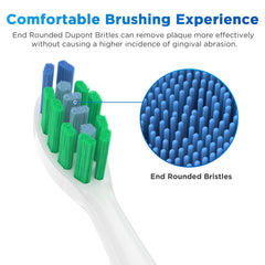 End-rounded Dupont bristles for comfortable brushing