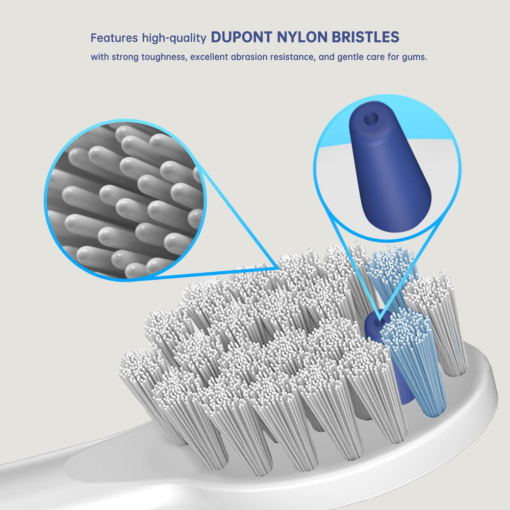 Compatibility display showing SF-01 to SF-04 fit