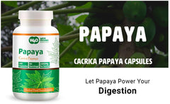 Supplement facts panel on the Papaya Capsules bottle