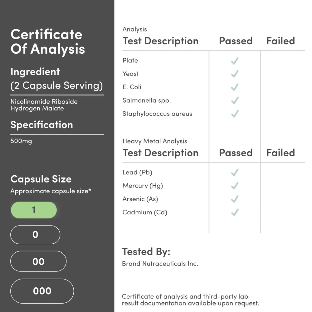 Wellness bottle and packaging by Double Wood