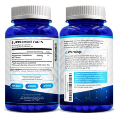 Quality control and safe manufacturing facility