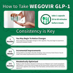 Wegovir Gut-health GLP-1 synergy illustrates digestive wellness