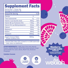 Wellah Electrolytes Powder Blueberry Pomegranate packaging