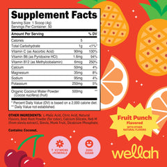 Wellah Electrolytes Powder Fruit Punch scoop highlights convenient daily electrolyte support.
