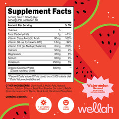 Wellah Electrolytes Watermelon scoop ready to mix for on-the-go hydration.
