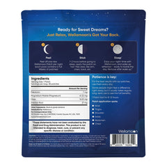 Wellamoon logo and sleep patches product name