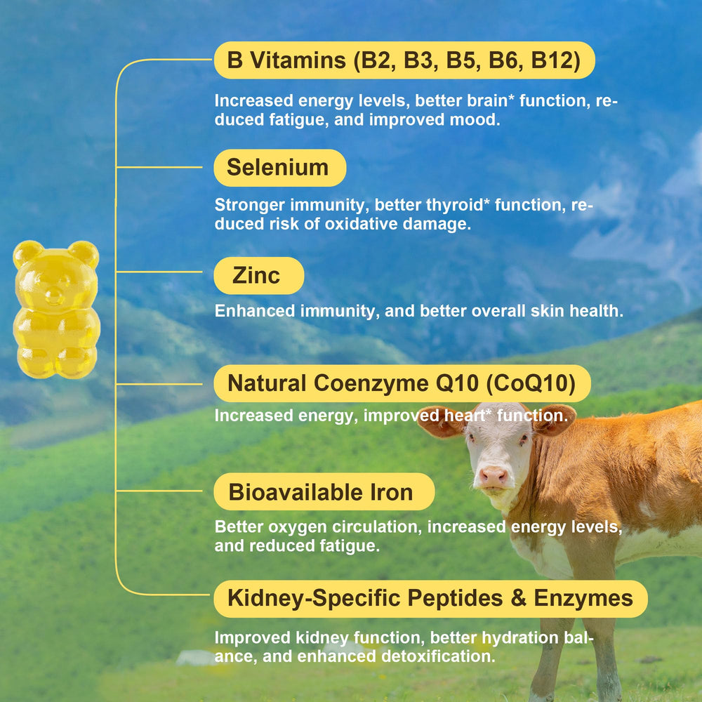 Grass-fed kidney gummies showcasing vitamin B12 and selenium content