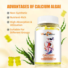 Nutrition facts for Wellcatcher Calcium Magnesium Gummies