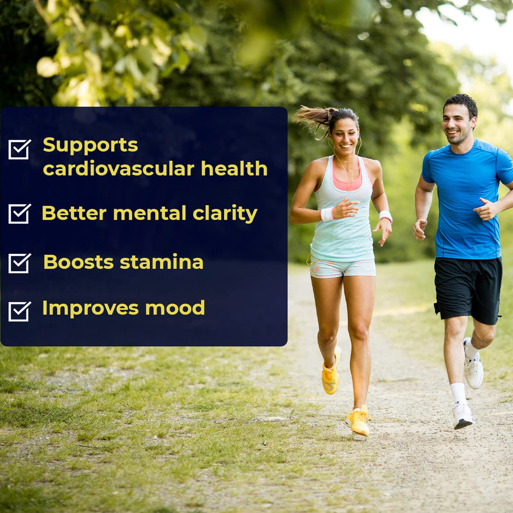 Illustration of high absorption concept for B vitamins