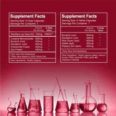 Puriclean X2 Detox Drink packaging for 1 pack