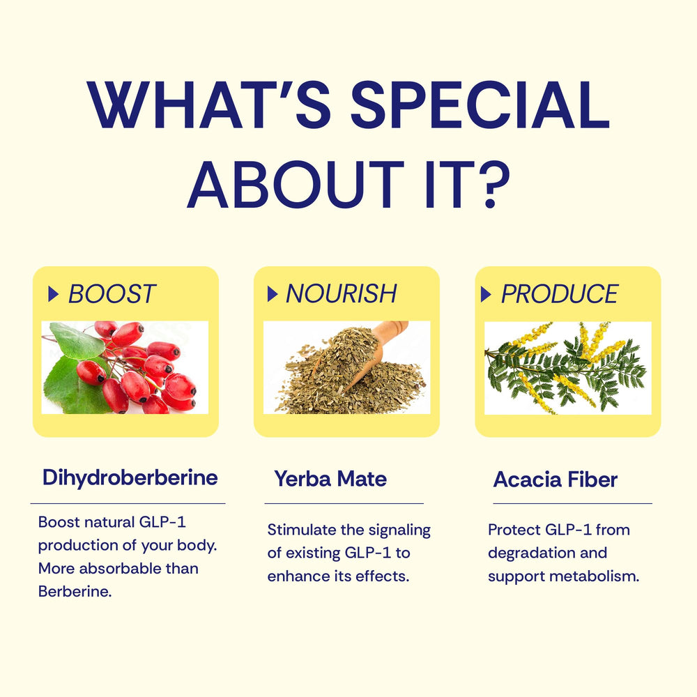 Prebiotics and other ingredients in Wellio GLP-1 Optimal