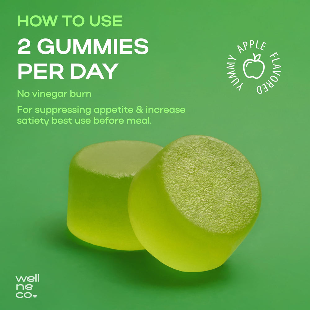 Wellneco digestion-support gummies flatlay – supports satiety during meals.