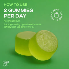 Wellneco digestion-support gummies flatlay – supports satiety during meals.