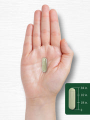 Wellness lifestyle image representing healthy living with Carlyle Dong Quai