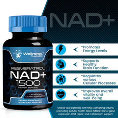Close-up of WellnessLabsRx NAD ultra-strength capsules