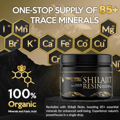 WellnessLabsRx pure Shilajit resin 60g jar, additive-free