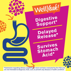 Berry flavored vegan probiotic gummy