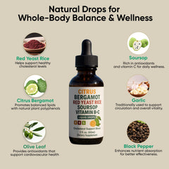 Illustration of soursop bitters and olive leaf ingredients