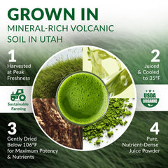 Wheat grass powder ingredients and clean label