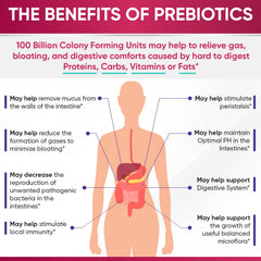 Wholesome Wellness Dr. Formulated Raw Probiotics for Women ingredient view features organic prebiotics and digestive enzymes.
