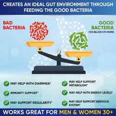 Wholesome Wellness image of prebiotics and enzymes in the formula