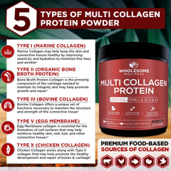 Wholesome Wellness wild-caught fish collagen sources for broad amino profile.