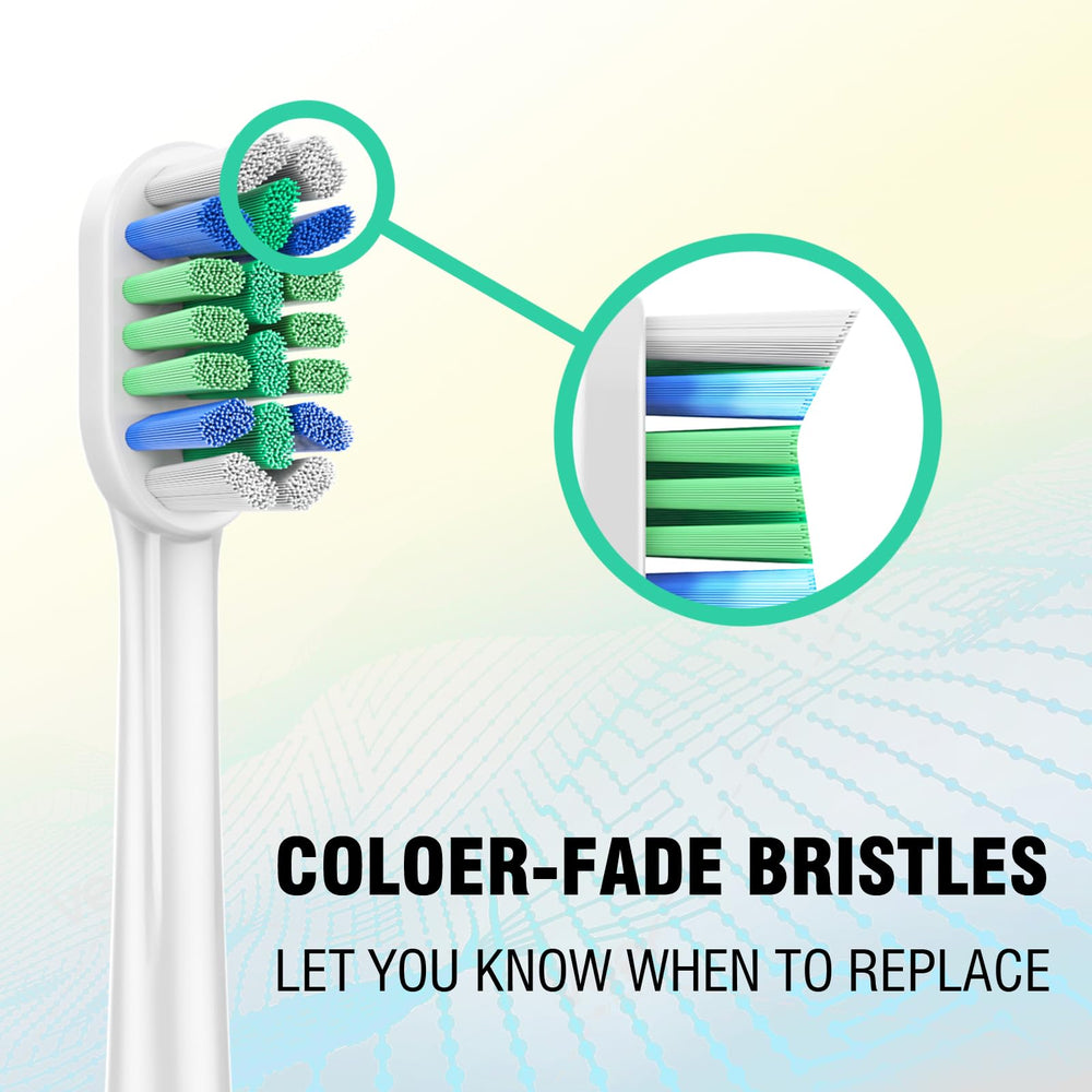 Whupppsi end-rounded Dupont bristles quality