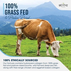 Wild-caught fish collagen source illustration