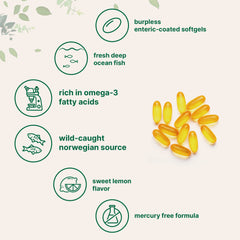 Wild-caught Norwegian fish source for omega-3 oil