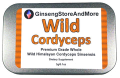 Close-up of whole Cordyceps sinensis pieces