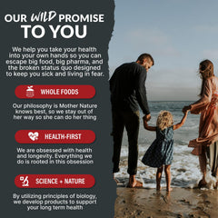 Person focused and productive using Wild Focus