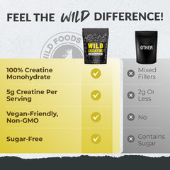 Collection of 20 pre-measured creatine monohydrate stick packets