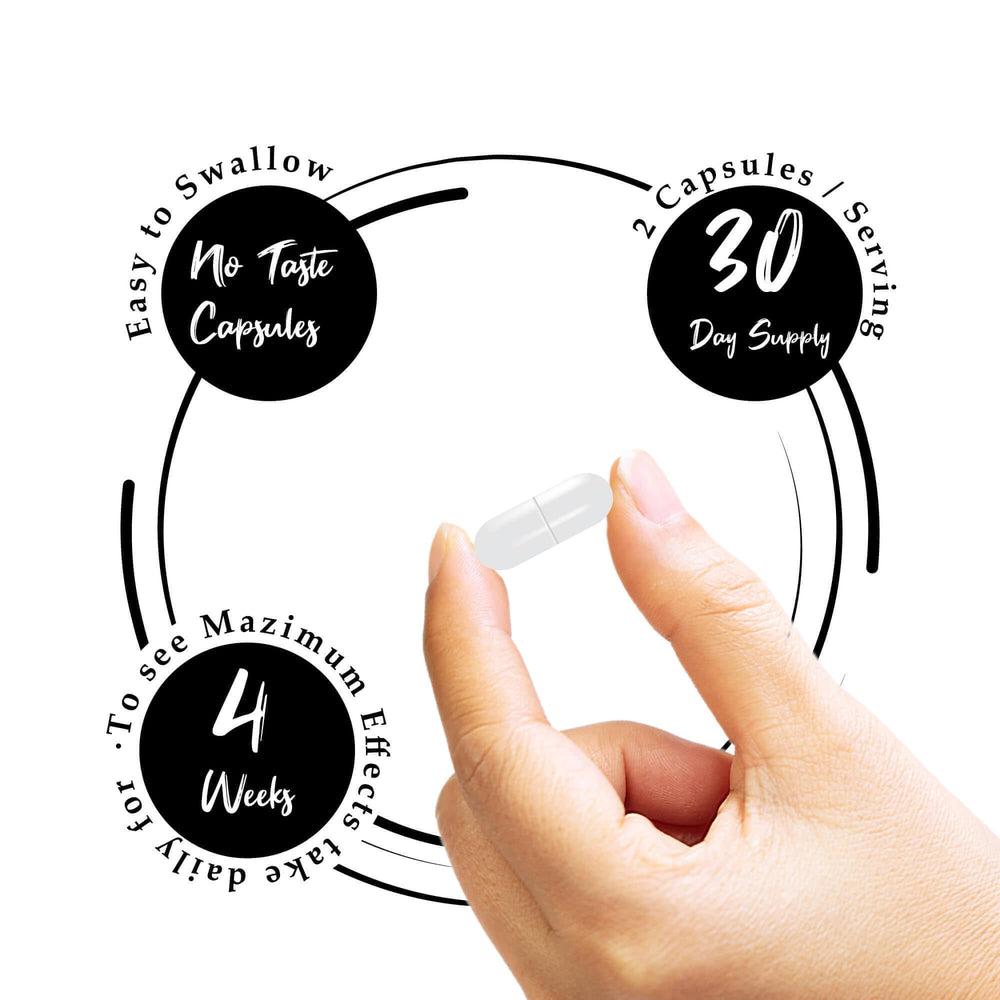 Diagram of magnesium forms: malate, orotate, citrate and taurate