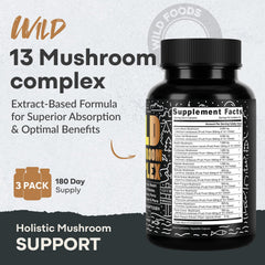 Assorted Wild Foods organic mushroom ingredients collection