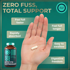 Wild Fuel artichoke and ginger blend image implies digestion comfort and wellness.