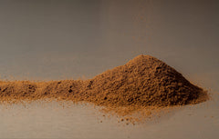 Wild-harvested Canadian chaga from Quebec forests