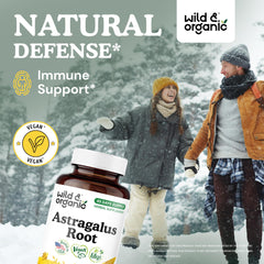 Close-up of astragalus root powder capsules