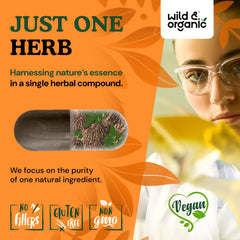 Ingredient shot featuring black walnut hull powder and capsules