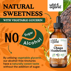 Serving size information with 500 mg chaga per serving