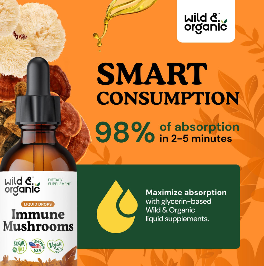 Chaga, turkey tail, lion's mane, reishi illustration