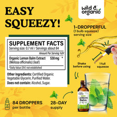 Close-up of fresh lemon balm leaves used in the tincture