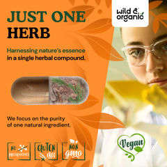 Ingredient list showing vegan formulation of Pine Bark Extract capsules