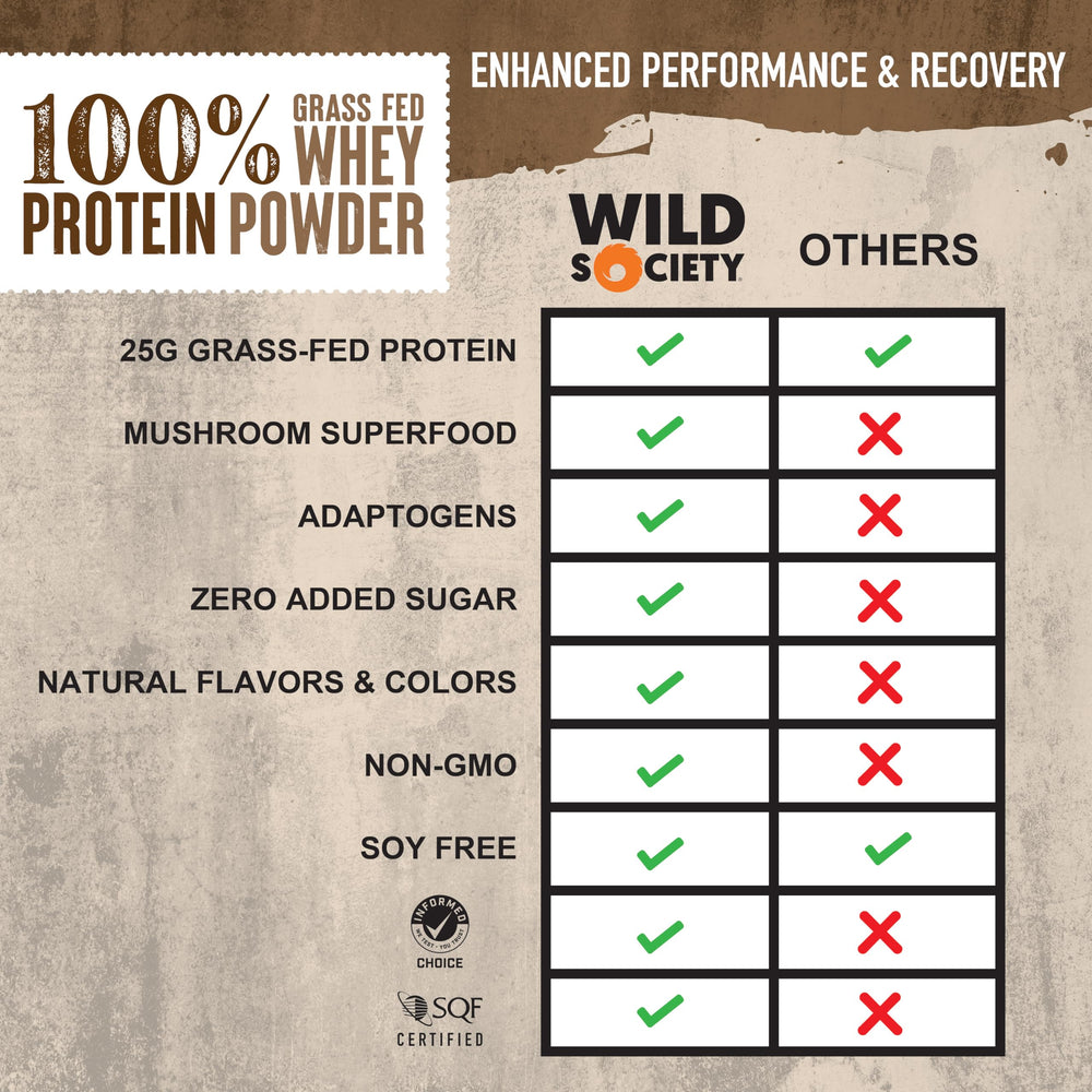 WILD SOCIETY mushroom blend reishi cordyceps eleuthero shows immune-support and antioxidant potential