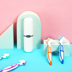 Packaging image showing six WILLBOND denture brushes