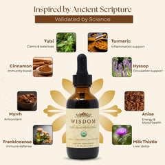 Wisdom Nutrition energy-focus-wellness drops illustrate a fit-for-busy mornings routine.